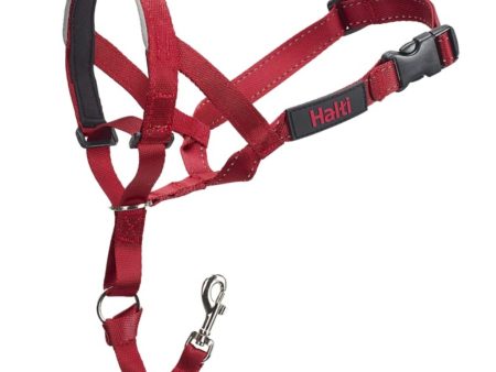 Company of Animals Halti Dog Headcollar Red Online