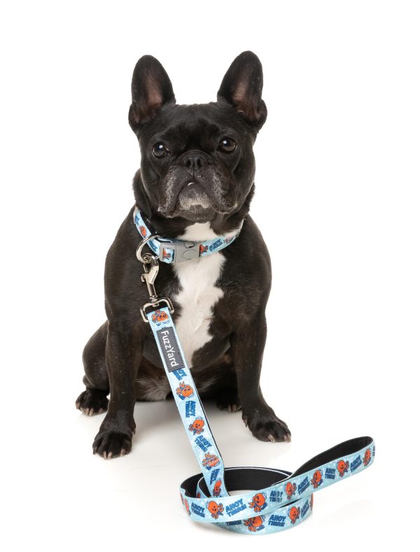 FuzzYard Ahoy There! Dog Collar Online Sale