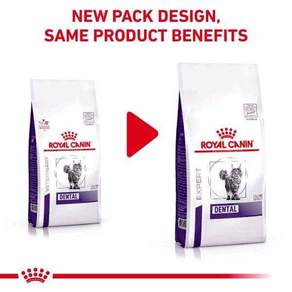 Royal Canin Veterinary Diet Dental Adult Dry Cat Food Online Sale