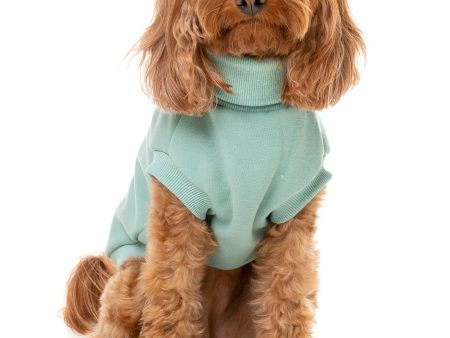 Fuzzyard Stevie Dog Sweater Mint Online Hot Sale