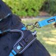 Huskimo Trekpro Dog Lead Bells Beach Hot on Sale