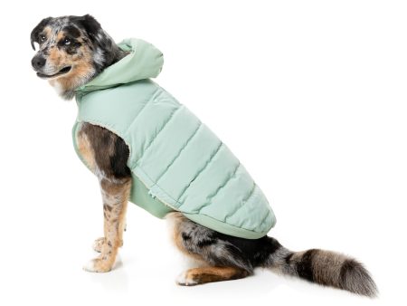 FuzzYard Essential Puffer Dog Jacket Mint Fashion