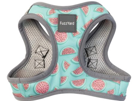 FuzzYard Summer Punch Dog Step In Harness Online Hot Sale