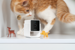 Petcube Pet Cam For Sale