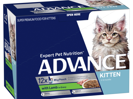 Advance Lamb in Gravy Kitten Wet Cat Food Trays 85g x 12 Sale