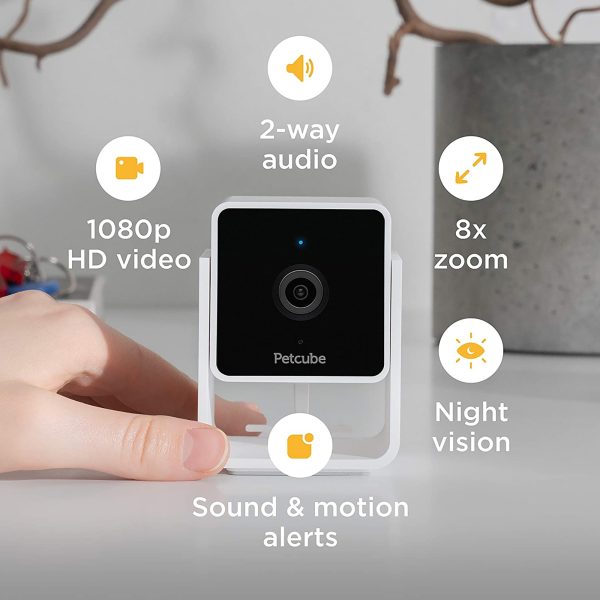 Petcube Pet Cam For Sale