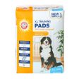 Arm and Hammer Extra Large Dog Pads Hot on Sale