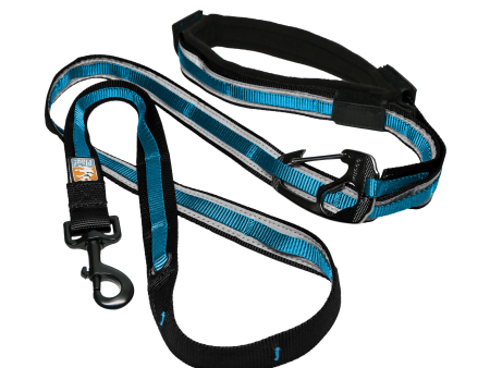 Kurgo Quantum 6 in 1 Dog Lead Discount