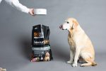 SavourLife Grain Free Adult Dog Mature 7+ With Australian Chicken Dry Food on Sale