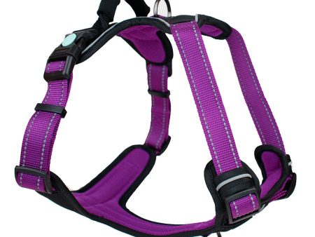 Huskimo Ultimate Dog Harness Aurora For Cheap