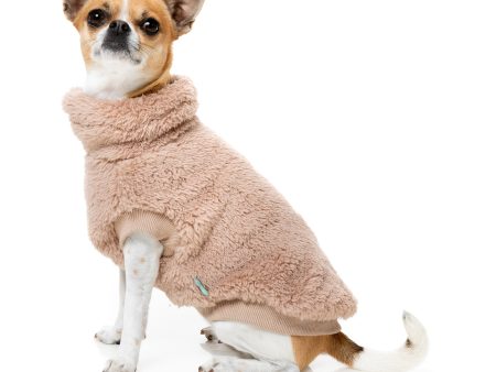 FuzzYard Turtle Teddy Dog Sweater Chai on Sale