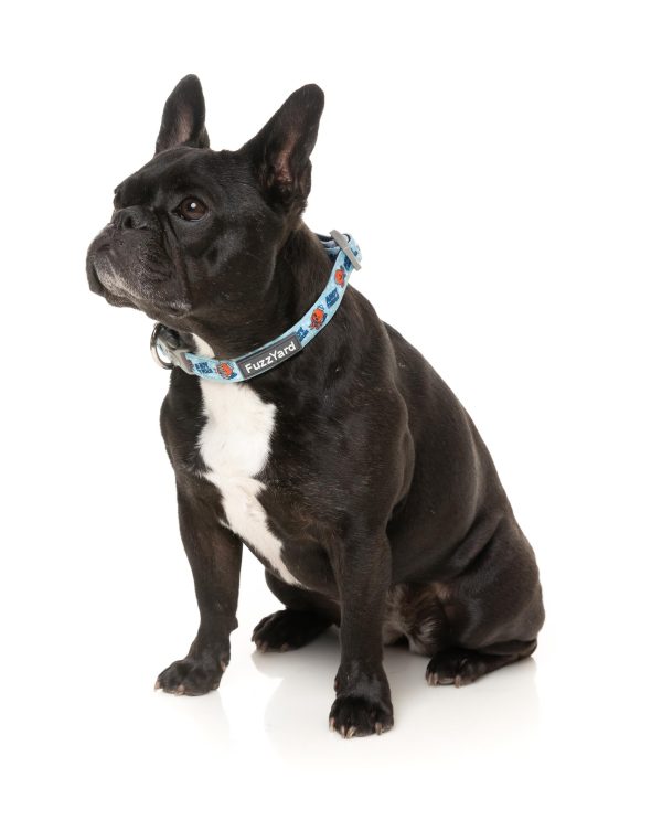 FuzzYard Ahoy There! Dog Collar Online Sale