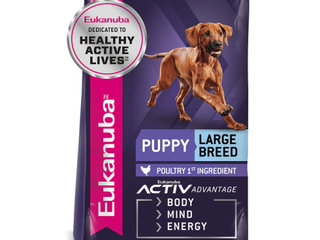 Eukanuba Puppy Large Breed Dry Dog Food 15kg Online Sale