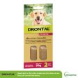 Drontal All Wormer Large Dog Chews 35Kg 2 Pack Online