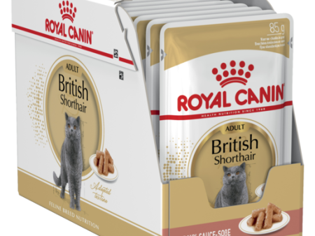 Royal Canin British Shorthair Adult Wet Cat Food Pouches 85g x 12 Supply