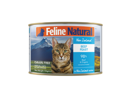 Feline Natural BPA Free & Gelatin Free Canned Cat Food Beef 170g x 12 Supply