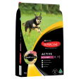 Supercoat Beef Active Adult Dry Dog Food 18kg Online Sale