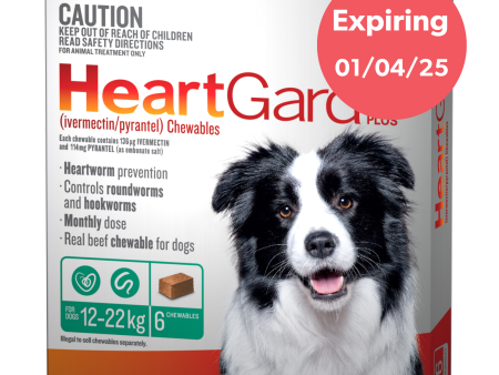 Heartgard Plus Chews For Dogs 12-22kg 6 Pack Sale