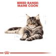 Royal Canin Maine Coon Adult Dry Cat Food 10kg For Discount