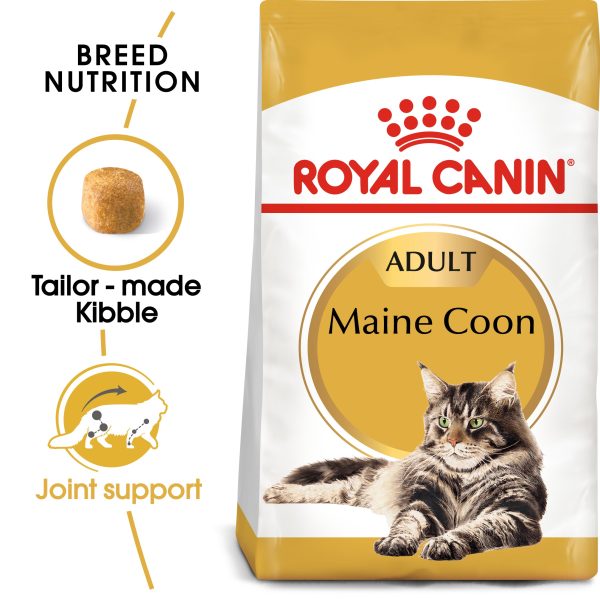 Royal Canin Maine Coon Adult Dry Cat Food 10kg For Discount