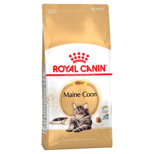 Royal Canin Maine Coon Adult Dry Cat Food 10kg For Discount