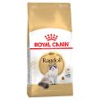 Royal Canin Ragdoll Adult Dry Cat Food Online