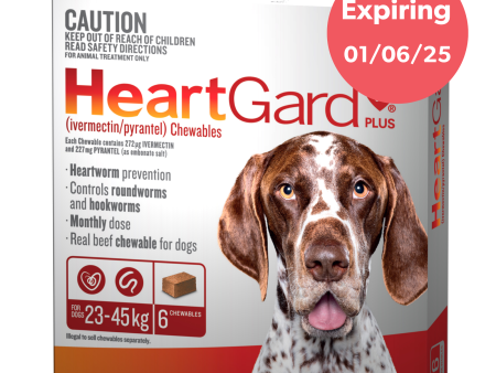 Heartgard Plus Chews For Dogs 23-45kg 6 Pack Cheap