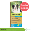 Drontal All Wormer Medium Dog Tablets 10Kg 6 Pack Supply