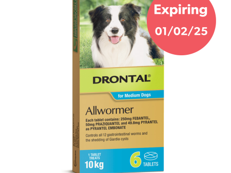 Drontal All Wormer Medium Dog Tablets 10Kg 6 Pack Supply