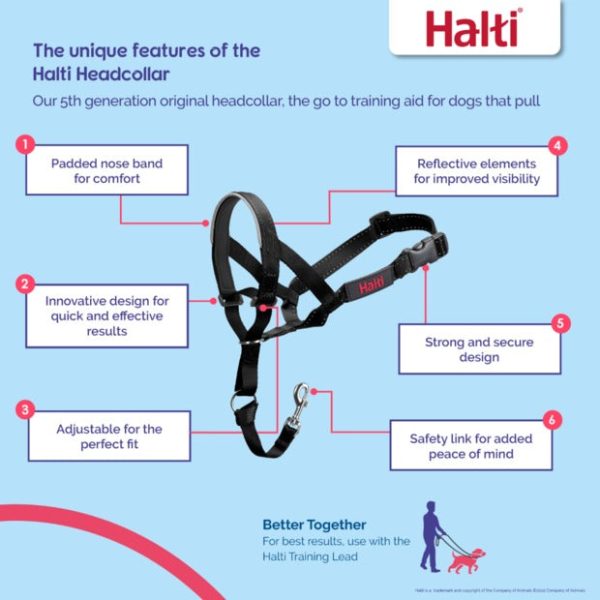 Company of Animals Halti Dog Headcollar Black For Sale