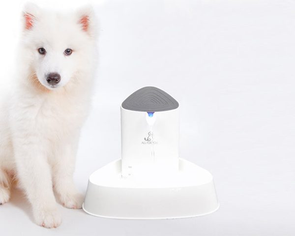 All Fur You Seashell Water Fountain For Cheap