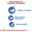 Royal Canin Indoor 7+ Adult Dry Cat Food For Sale