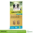 Drontal All Wormer Medium Dog Chews 10Kg 2 Pack Fashion