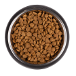 Supercoat Chicken Small Breed Adult Dry Dog Food 2.8kg Online Sale