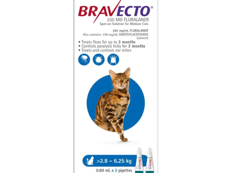 Bravecto Spot On Medium Cats 2.8-6.25Kg 2 Pack For Cheap