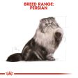 Royal Canin Persian Adult Dry Cat Food 2kg Supply