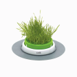 Catit 2.0 Senses Cat Grass Planter Hot on Sale