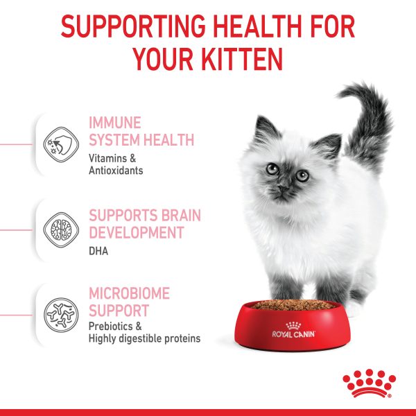 Royal Canin Kitten Dry Cat Food Online