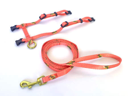 Anipal Bertie the Bee Recycled Cat Harness and Lead For Sale