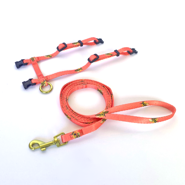 Anipal Bertie the Bee Recycled Cat Harness and Lead For Sale