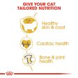 Royal Canin Ragdoll Adult Dry Cat Food Online