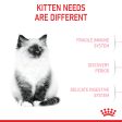 Royal Canin Kitten Dry Cat Food Online