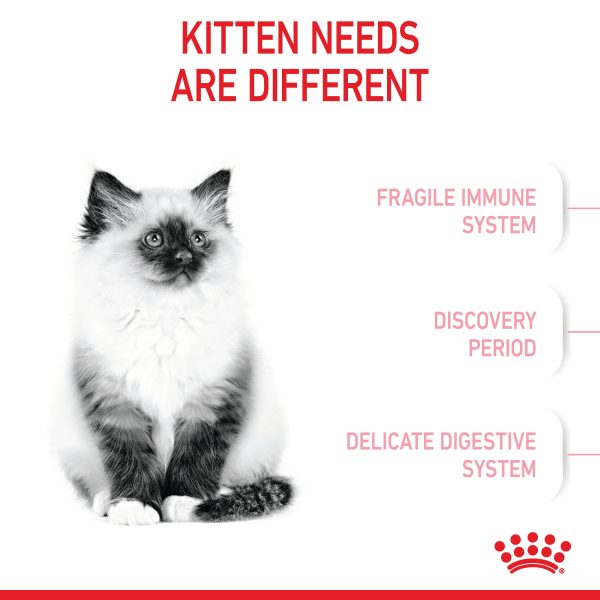 Royal Canin Kitten Dry Cat Food Online