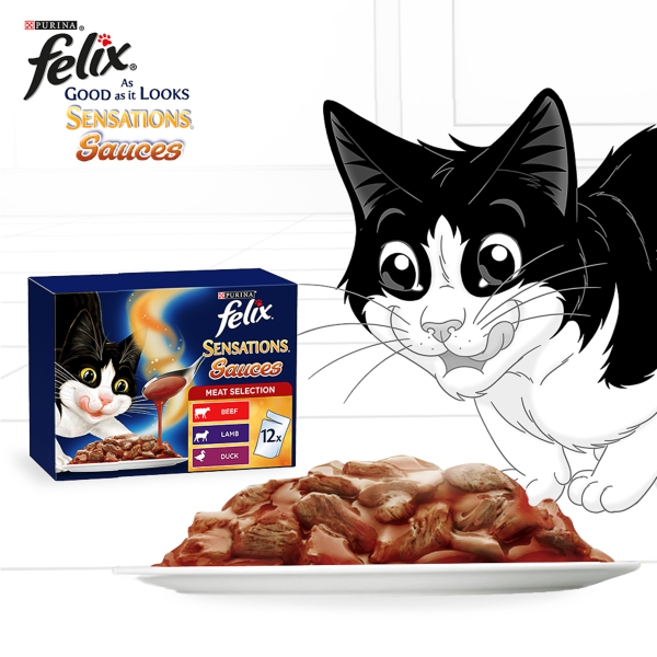 Felix Sensations Sauces Meat Selection Adult Wet Cat Food 85g x 12 Fashion