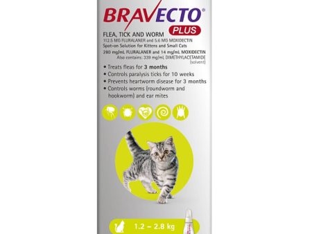 Bravecto Plus Kittens And Small Cats 1.2-2.8Kg 1 Pack Sale